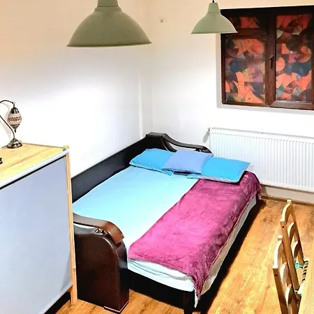 Apartament Ultracentral/universitate *